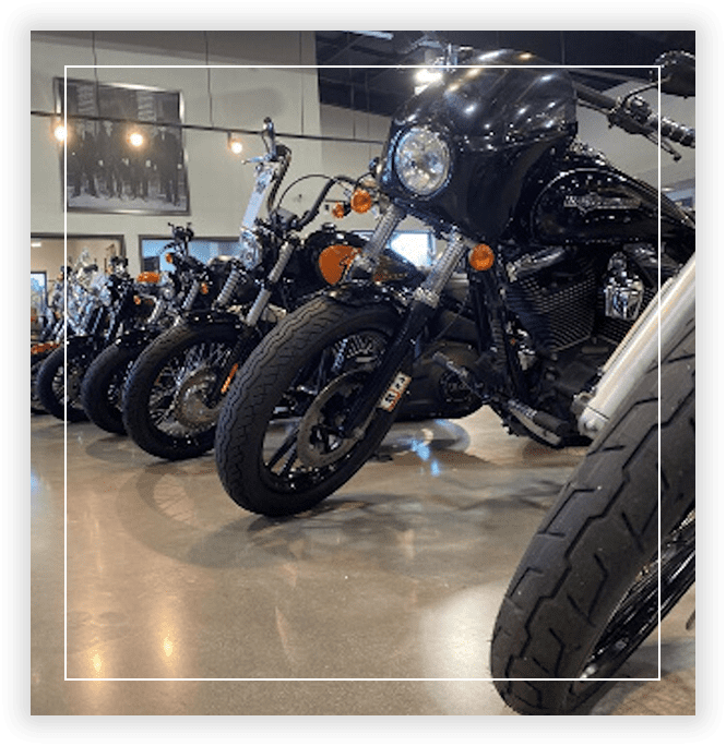 A row of motorcycles parked in a showroom.