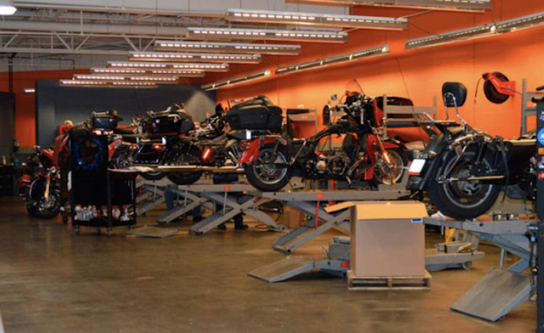 Multiple motorcycles on lifts in a garage.